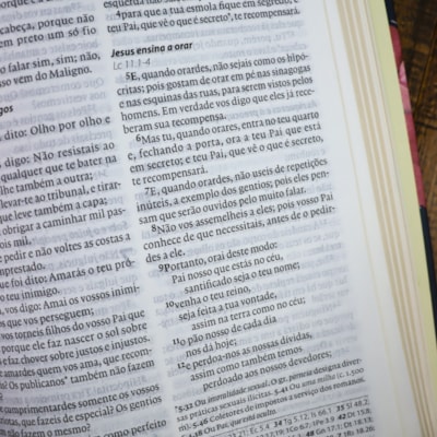 image_da25e864-931e-4079-a59f-616cbd3c1ad1