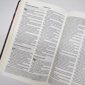 Bíblia Almeida Século 21 | A21 | Letra Média| Capa Dura | Leão de Judá