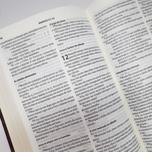 Bíblia Almeida Século 21 | A21 | Letra Média| Capa Dura | Leão de Judá