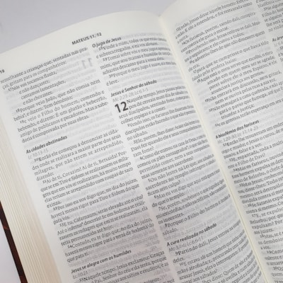 image_d4cf55c0-3c02-4d9b-a242-71ec652ddbed