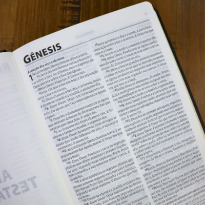 image_f0eb66ba-0303-4e7d-8a7f-228f57079fe7