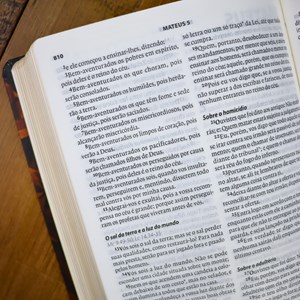Bíblia Almeida Século 21 | A21 | Letra Média | Capa Dura | Lion Low Poly