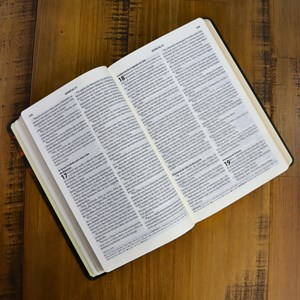 Bíblia Almeida Século 21 | A21 | Letra Média | Capa Dura | Lion Low Poly