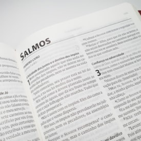 Segunda imagem do produto Bíblia Almeida Século 21 | A21 | Letra Normal | Vermelho e Areia C/ Referências Cruzadas