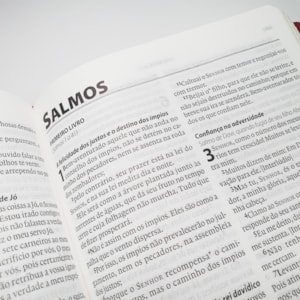 Segunda imagem do produto Bíblia Almeida Século 21 | A21 | Letra Normal | Vermelho e Areia C/ Referências Cruzadas