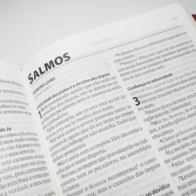 image_29b7cabc-2558-4d8d-a09f-d8be05a7fad9