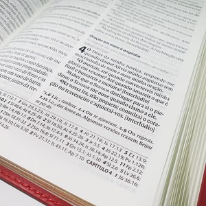 Bíblia Almeida Século 21 | A21 | Letra Normal | Vermelho e Areia C/ Referências Cruzadas