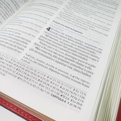 image_dcf200a9-c292-4ac2-8878-b3cb03bf1a5d