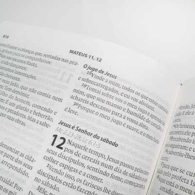 image_ed6ecba0-586b-41c7-a9e7-4faf26dfd520