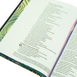 Bíblia Anotações e Esboços Multicores | NVT | Letra Grande | Capa Dura