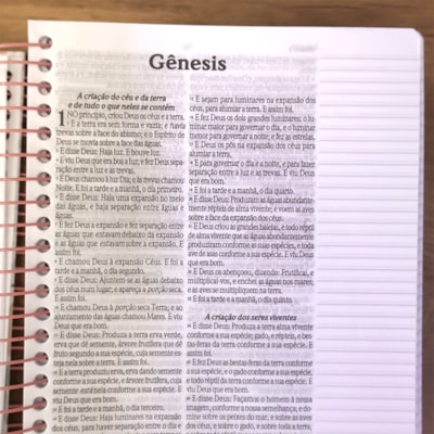 image_8af21ef4-1378-498d-a475-c99ebf9364ef