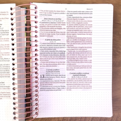 image_2c413fed-fe19-46b5-bef3-3f8dcfb7e4cb