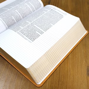 Bíblia Anote Castanho | NVI | Letra Grande | Com Espaço Para Anotações