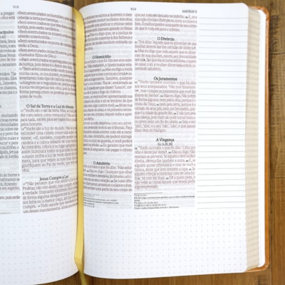 image_f8df0b0d-68d9-4e29-a641-2609a753bcdf