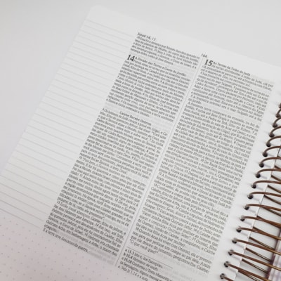 image_a509c77d-a4c0-450c-89ab-262476c4bbba