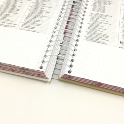 image_423d5551-ff1f-4bb1-817e-c4185ae68792