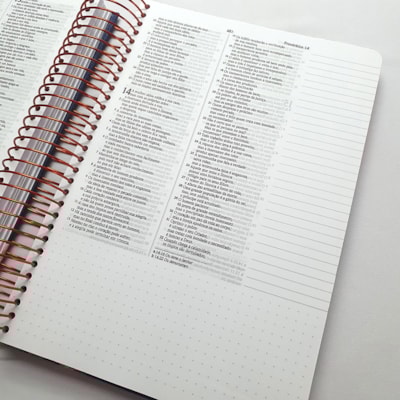 image_7df98fe7-c8ab-4842-b5ab-21b2f80e22fa