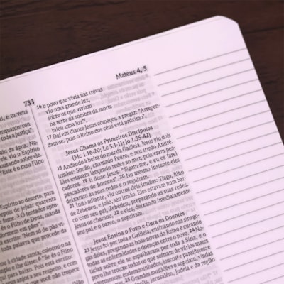 image_de846652-eaae-462f-9544-cbd637796c7b