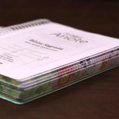 image_a6888f3d-c078-4e25-b2a1-3783eace5fdb