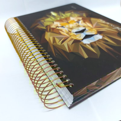 image_d0772013-8bdb-4160-97b9-5191c9b16178