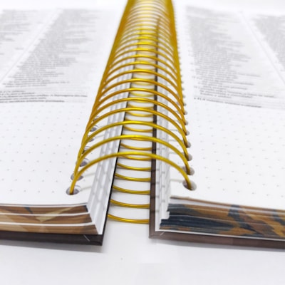 image_45451c5c-06fa-4a43-8c17-05955b191de0