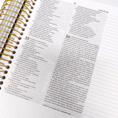 image_e67f229a-b3b5-4bc6-8ddb-74db36217e71