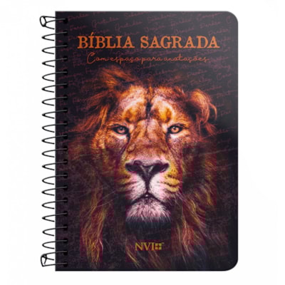 Imagem Principal - 58db1910-5f22-4a87-9beb-b61320107d3e