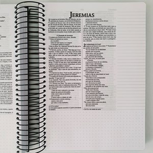 Bíblia Anote Espiral Leão Sereno | NVI | Letra Normal | Com Espaço Para Anotações