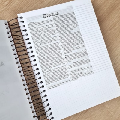 image_921d76fa-086f-41e5-af03-b6d0af560a71