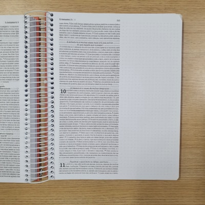 image_9013a230-ac91-417e-b8be-70388633d5a9