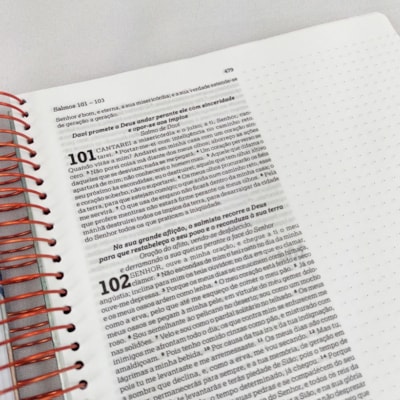 image_50ac9e81-b6a9-4a95-803d-b52485240178