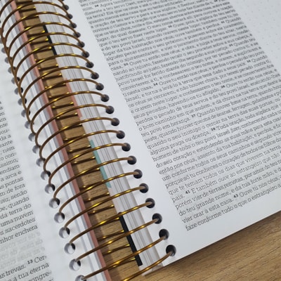 image_21dd1bd5-89aa-447b-8feb-d74c13fb67d9