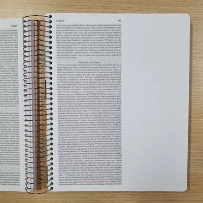 image_4005c377-1367-4943-9e17-fd88318bca49