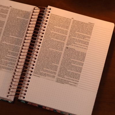 image_97ef9cff-b1c8-4a9a-a904-8c87a609b998