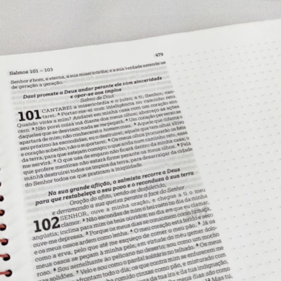 image_7d2d2468-84a5-453e-8e10-3a65dd39e3a4