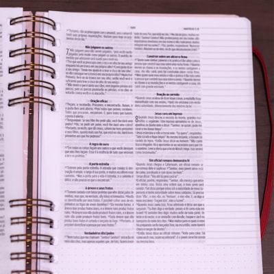 image_d894e290-f2c9-484c-b23e-b376eee4afdb