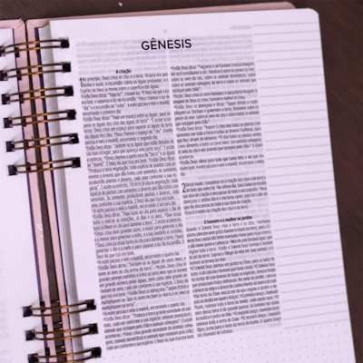 image_4e4a9f0f-57be-4753-b66d-62bad271f07a