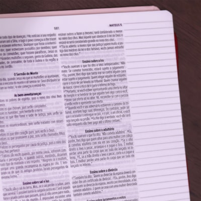 image_6873e378-1b0f-4316-9719-75bb9fa3522f