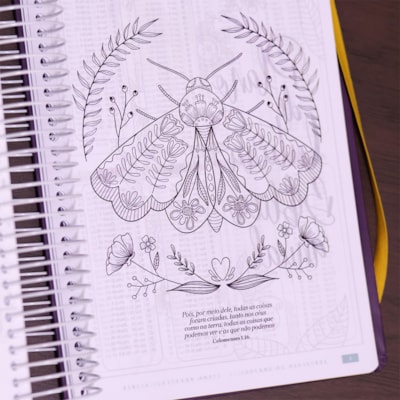 image_f3cf46d1-ac71-45c8-aa8d-86def6354363