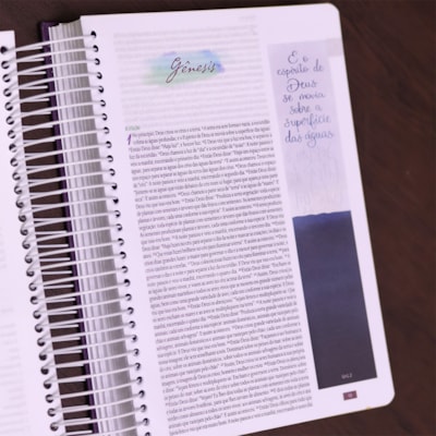 image_771c9363-c406-452b-894b-25b527852ede