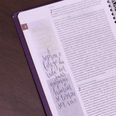 image_5c024972-4b65-4e35-91d9-06690cce9e14