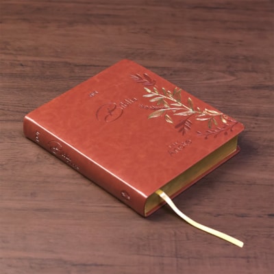 image_85e0b992-9c1b-4715-a5df-ada69b6a0ee2