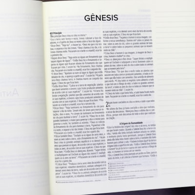 image_9903428e-88df-4d95-bf32-12331efde8f8