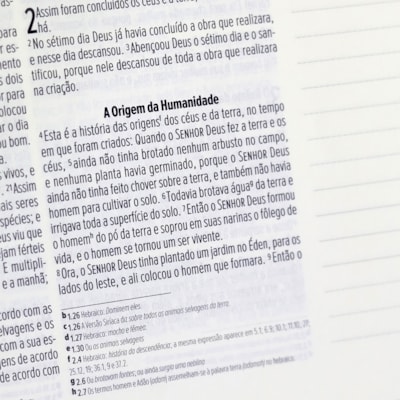 image_b84ecd31-8827-4513-91db-e982a9e91749