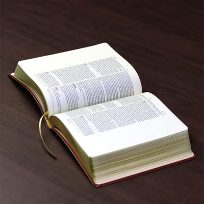 image_05ee24c5-2a88-4aa4-ad0b-7771a6b51a89