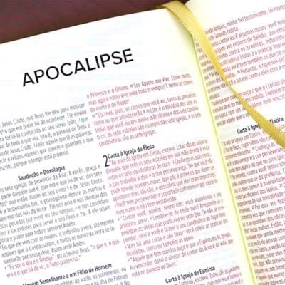 image_9105d752-a7eb-444c-9a0e-191ac5bbbfb1