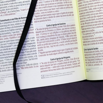 image_8228e2e3-b3b1-41ae-bbda-a22d77f37aaf