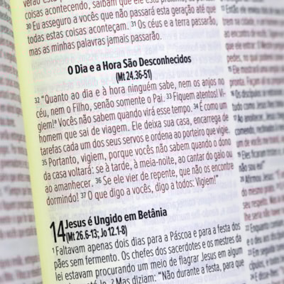 image_dff7118d-c7e9-4f7e-b5d4-d40817cc0872