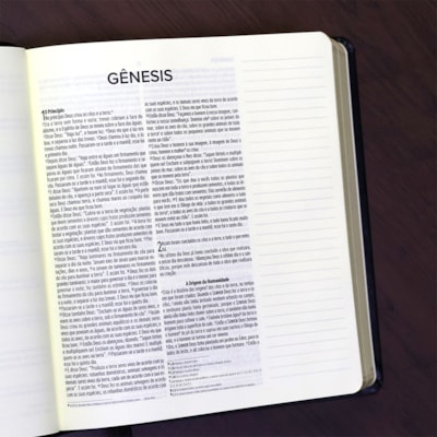 image_6f27ddae-1b87-47f2-92d3-55d46852f629