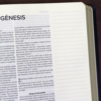 image_8fadb59f-c5a6-4bb6-b7f2-99c36d93f113